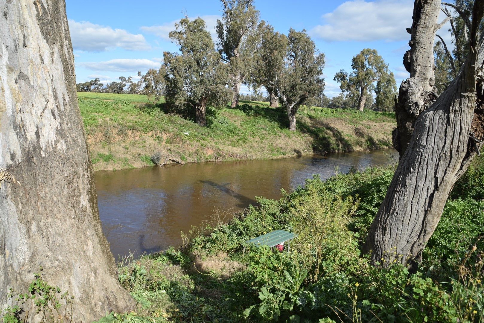 'Keringle' 162 Benolong Rd, Benolong NSW 2818, Image 0