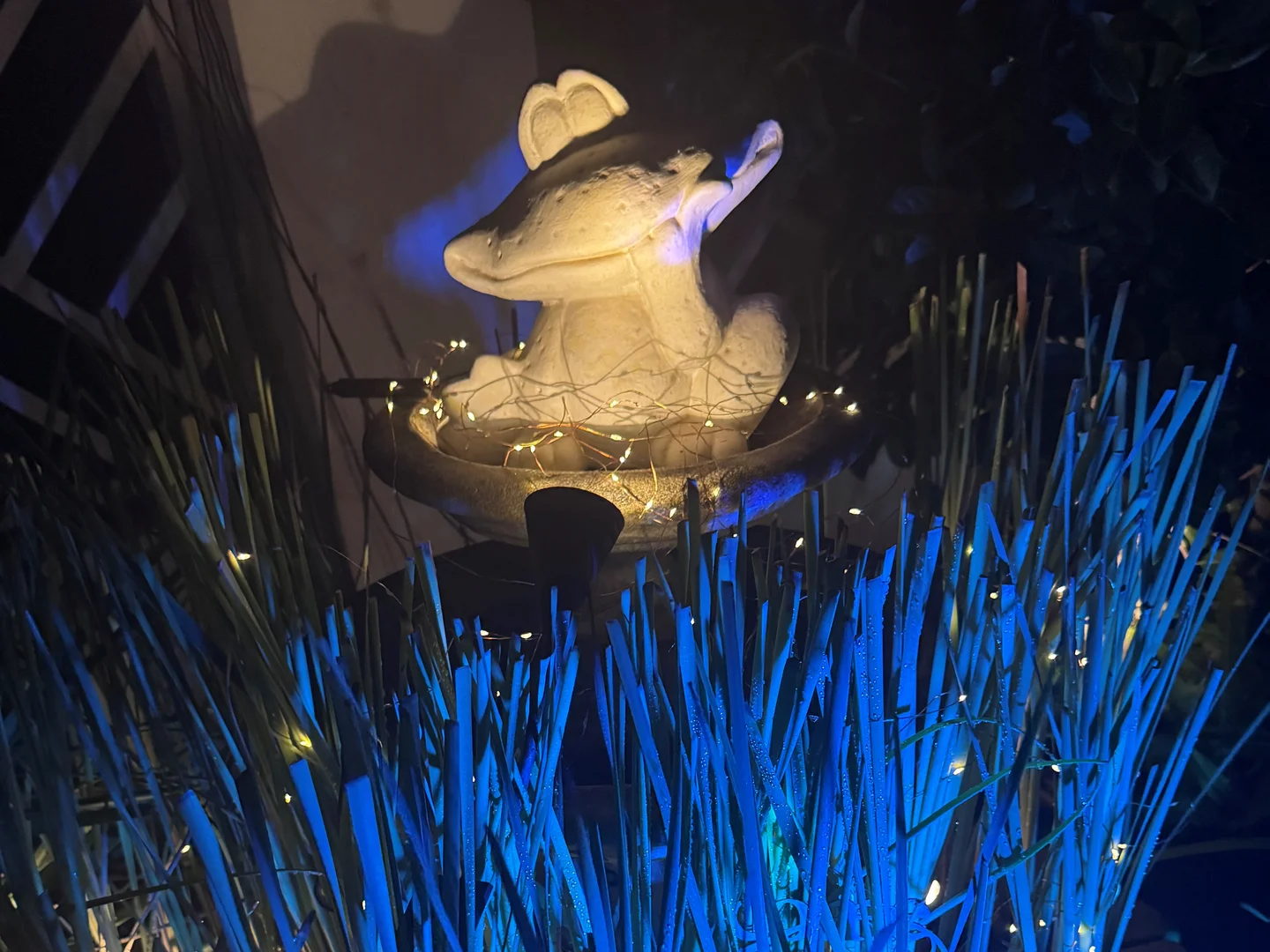 Image 32