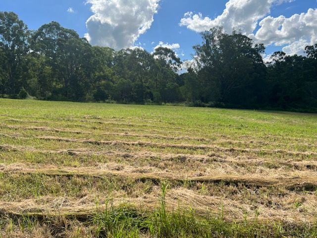 Lot 9 Elwyn Drive, Cedar Vale QLD 4285, Image 2