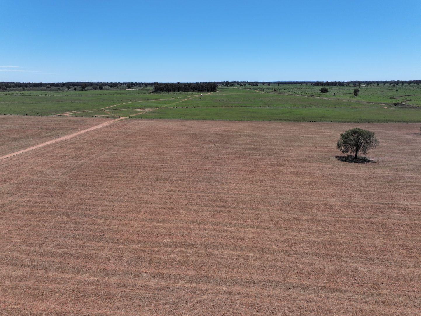 'Mentone' 1521 Bruie Plains Road, Trundle NSW 2875, Image 2