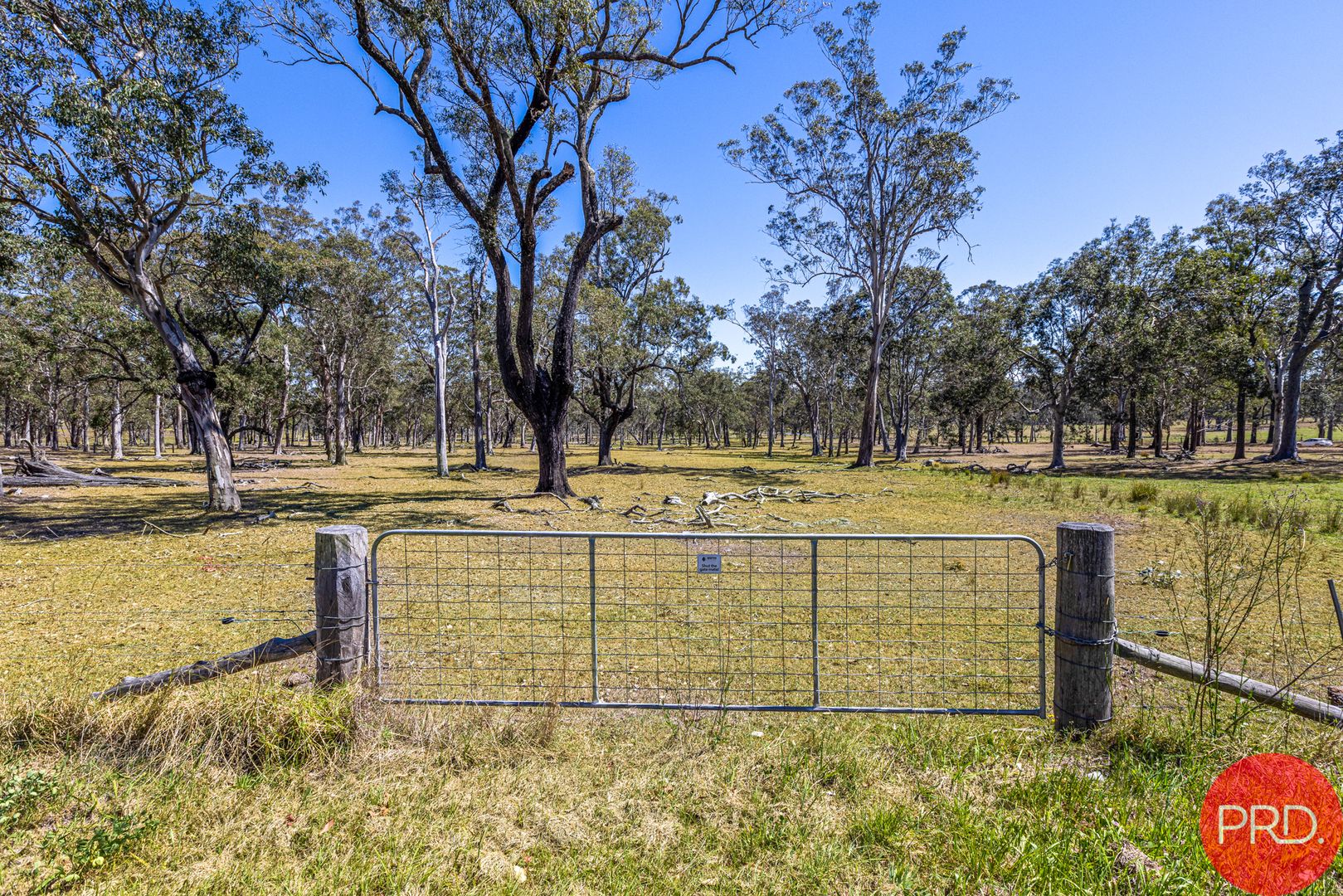 908A Clarence Town Road, Seaham NSW 2324, Image 1