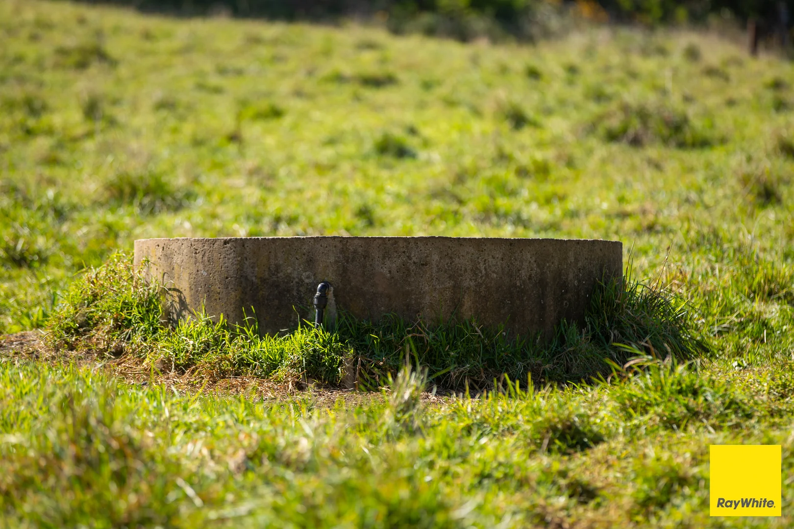 Image 13