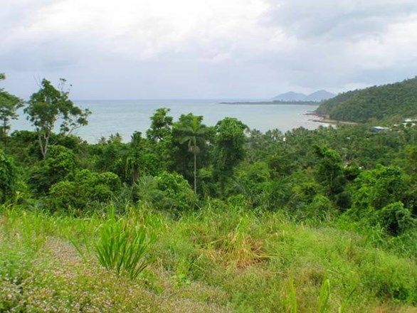 Plantation Drive, Bingil Bay QLD 4852, Image 0