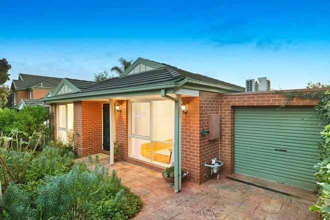 Picture of 1A Maple Street, BOX HILL VIC 3128