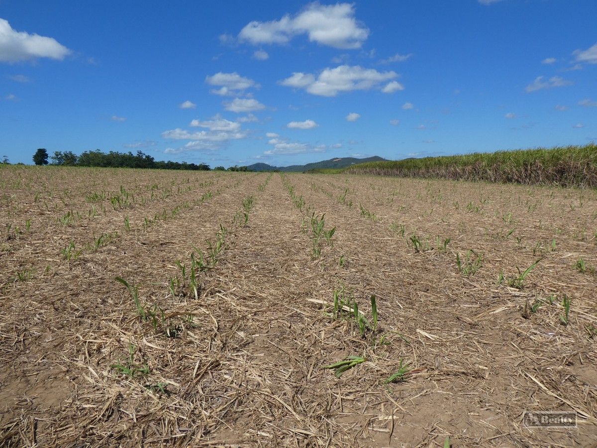 Sandy Pocket QLD 4871, Image 2