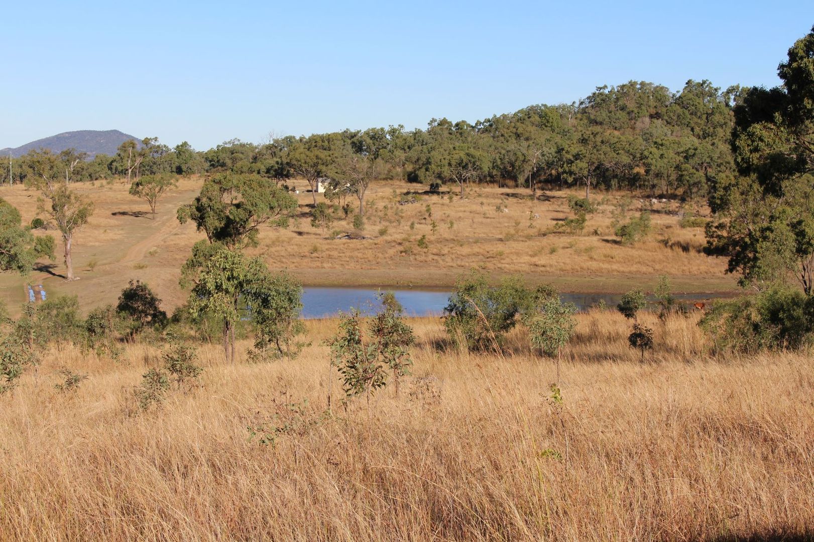 589 The Narrows Road, Mount QLD 4695 House for Sale 670000