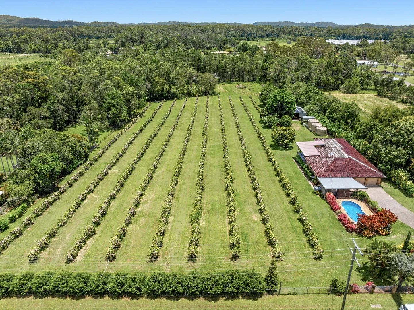 Additional image 15 of 109 Fraser Road, Beerwah QLD 4519