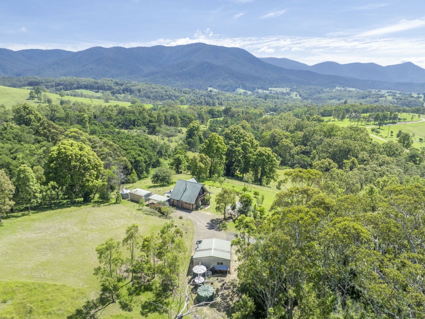 52 Buckleys Ridge Road, Bemboka NSW 2550, Image 1