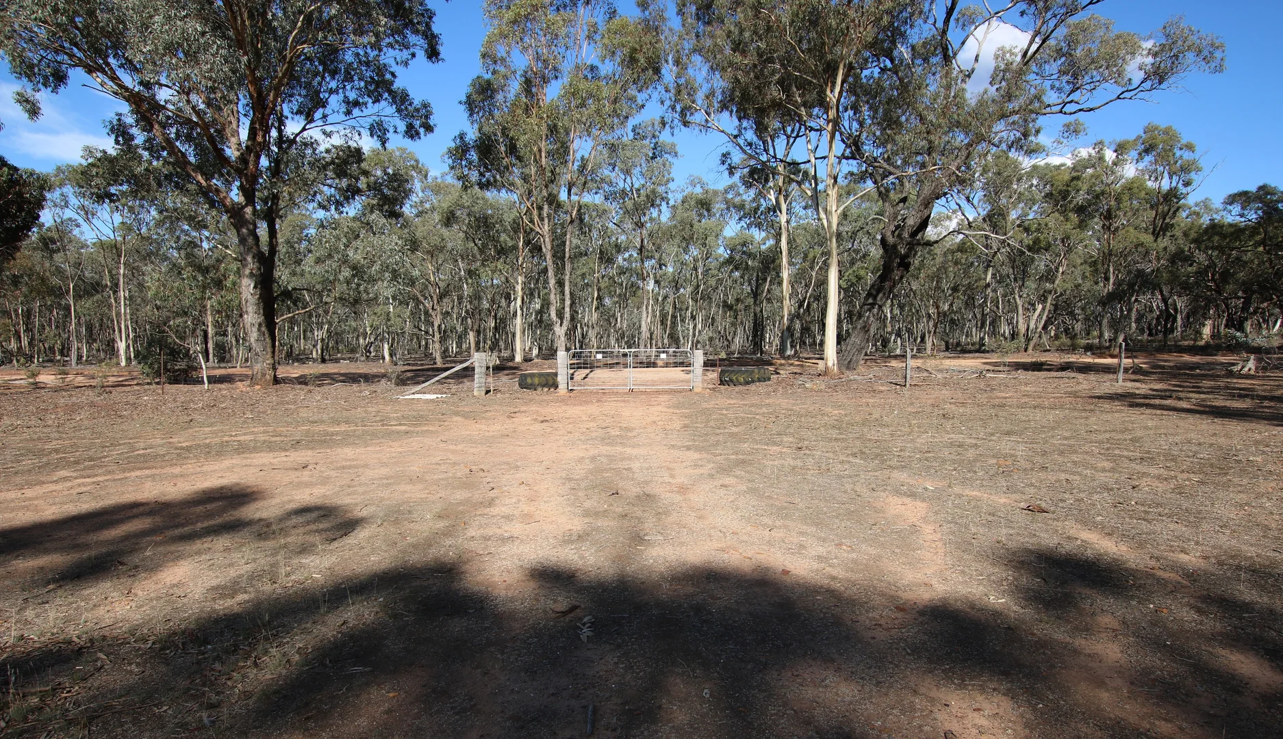 Image 14