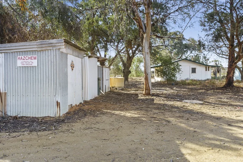 Image 7