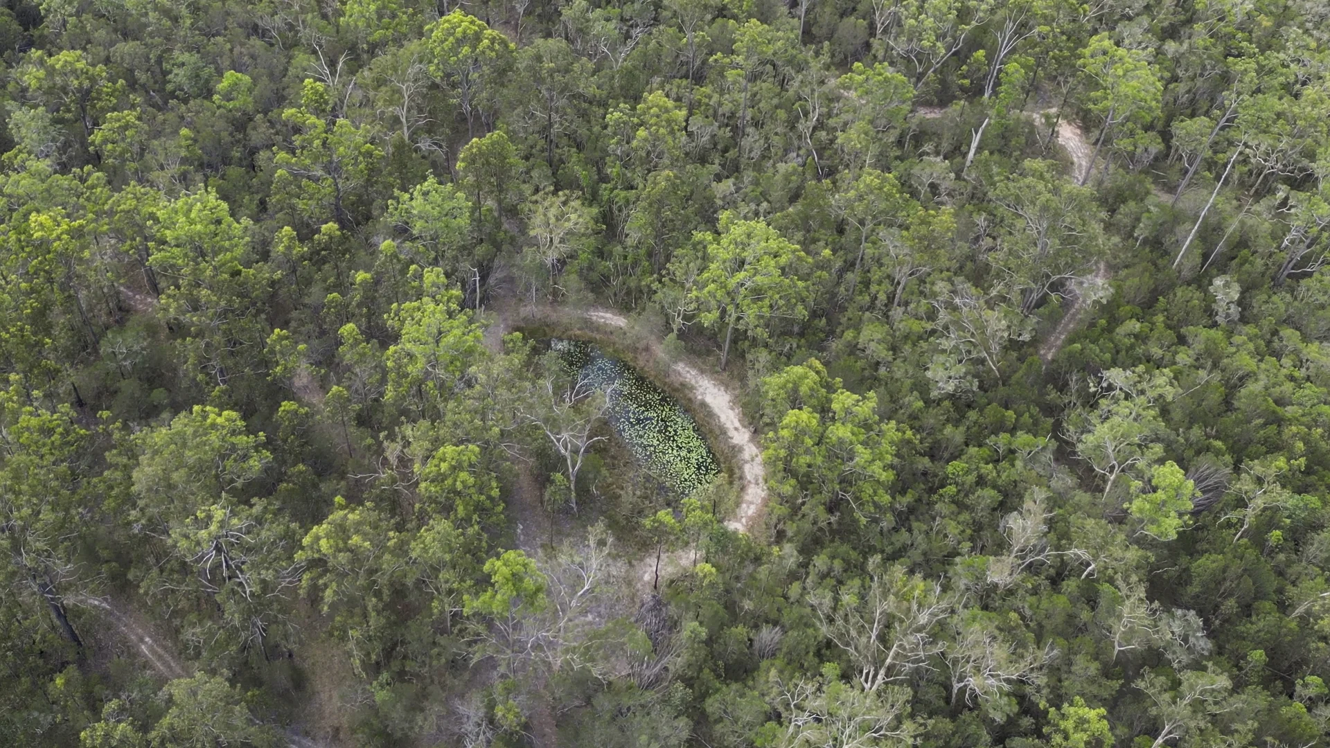 Additional image 9 of 95 Sunnyside Road, Pillar Valley NSW 2462