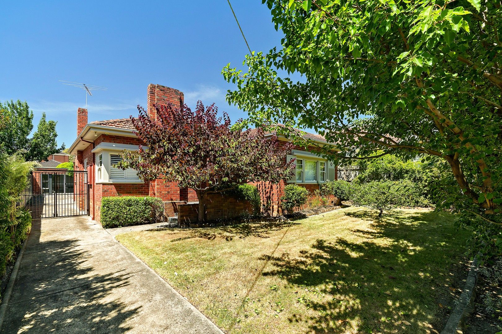 22 Banool Road, Surrey Hills VIC 3127, Image 0