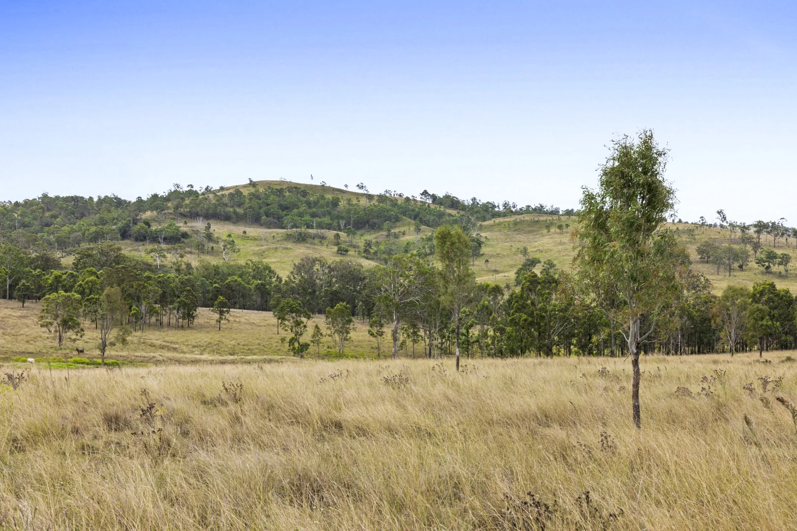 Additional image 6 of 2492 New England Highway, Cooyar QLD 4402