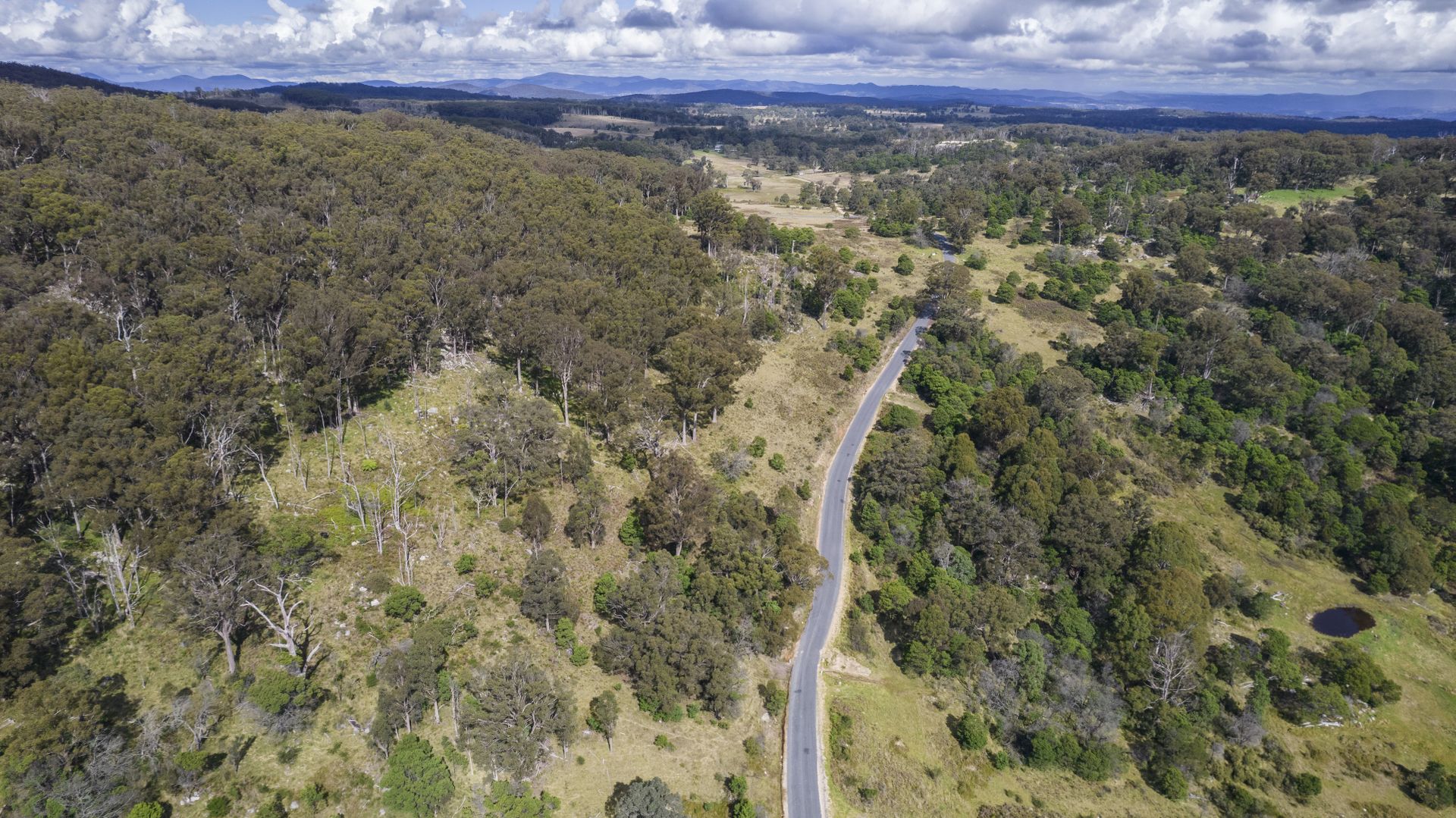 41 Gum Flat Road, Tenterfield Property History & Address Research