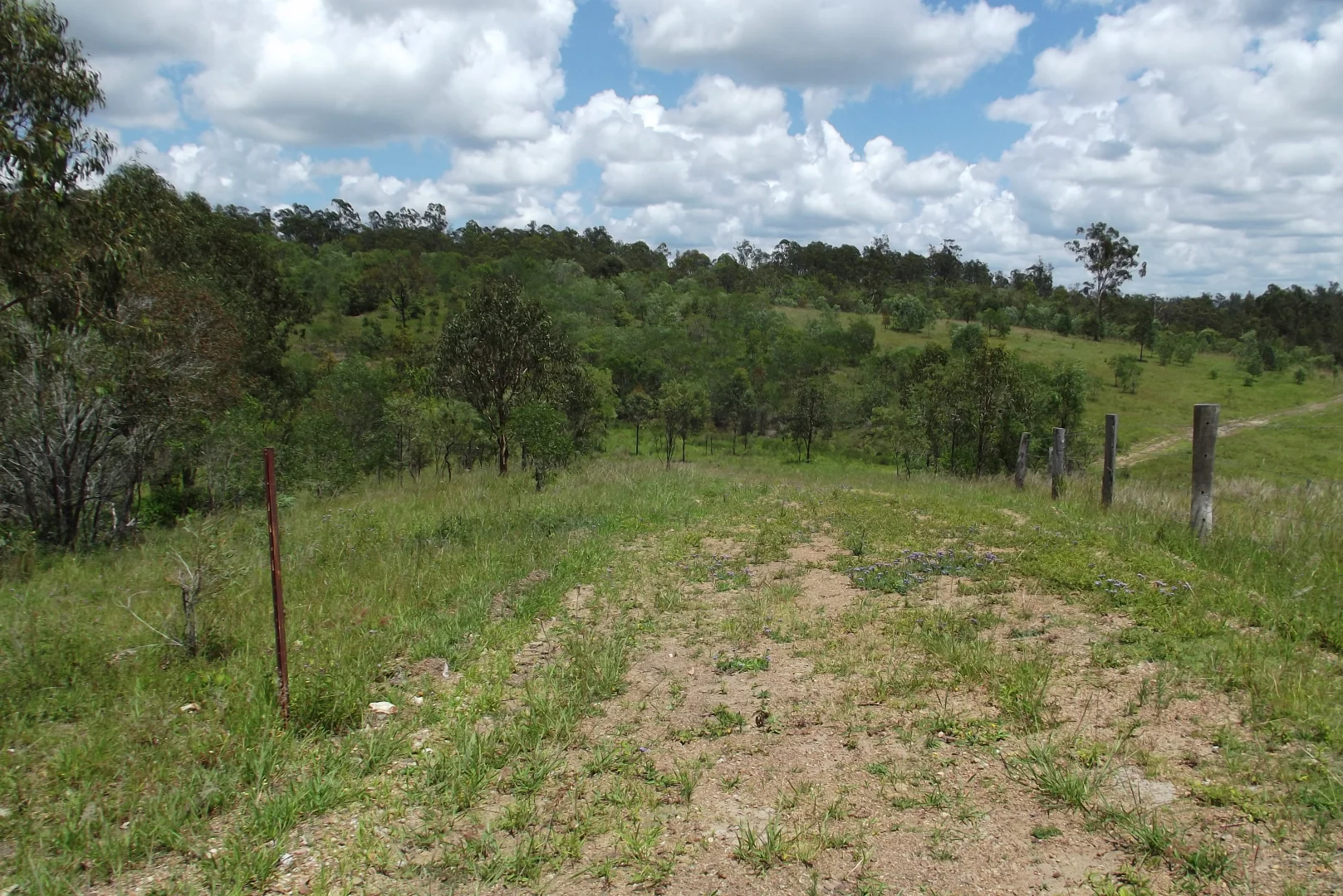 Image 10