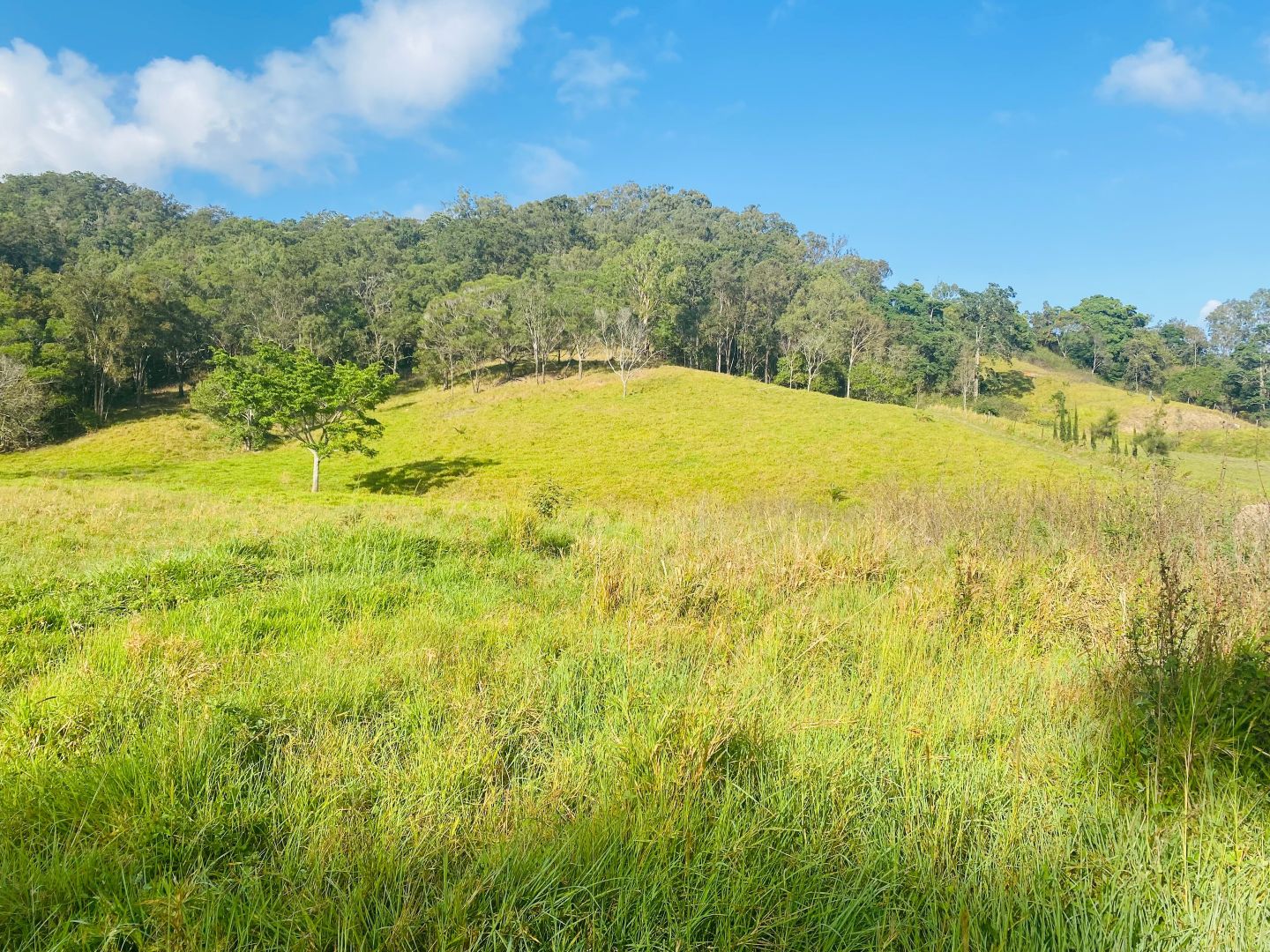 Lot 9 Courtney Gap Road, Sarina QLD 4737, Image 1