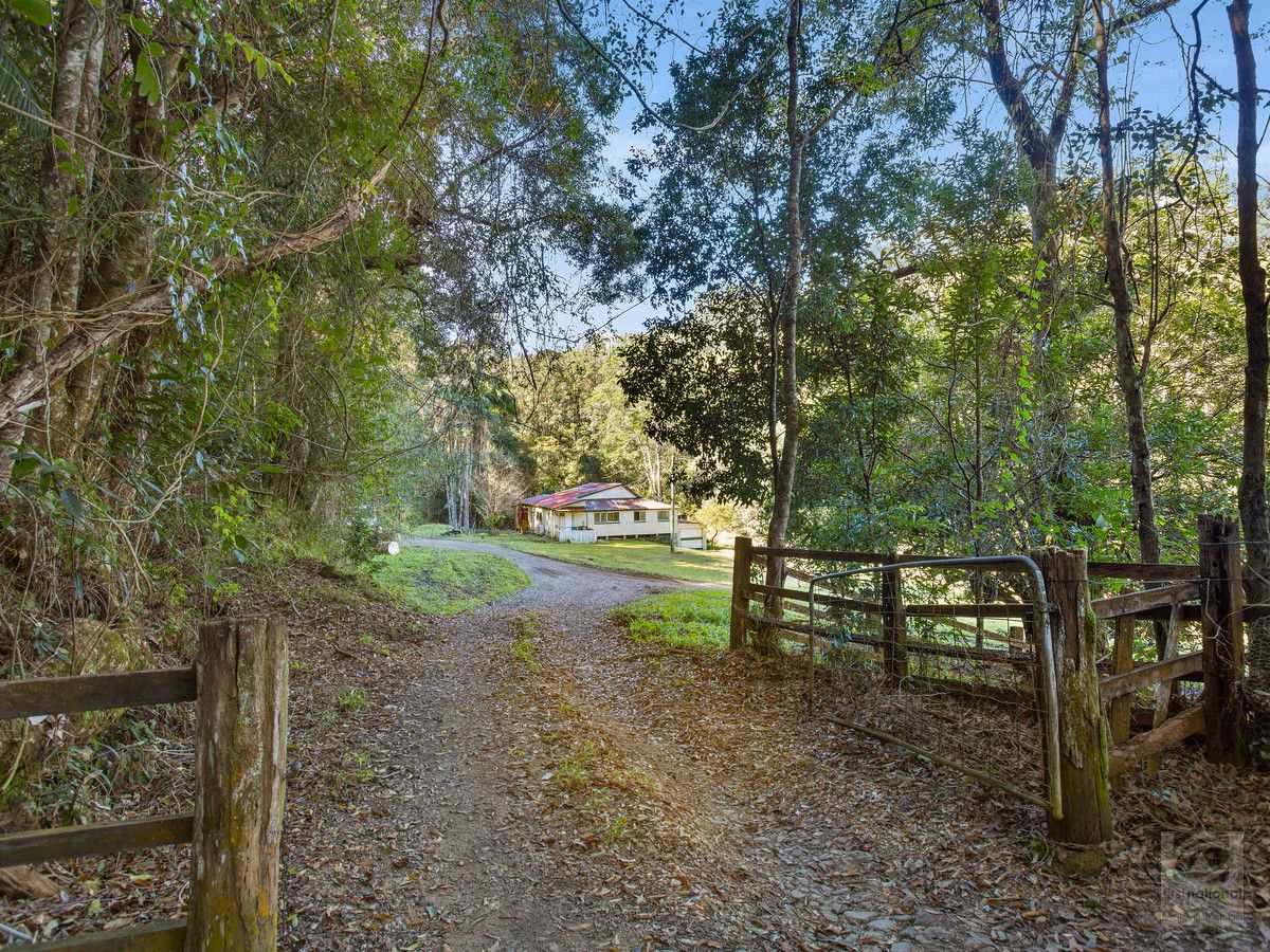 1820 Numinbah Road, Numinbah NSW 2484, Image 0