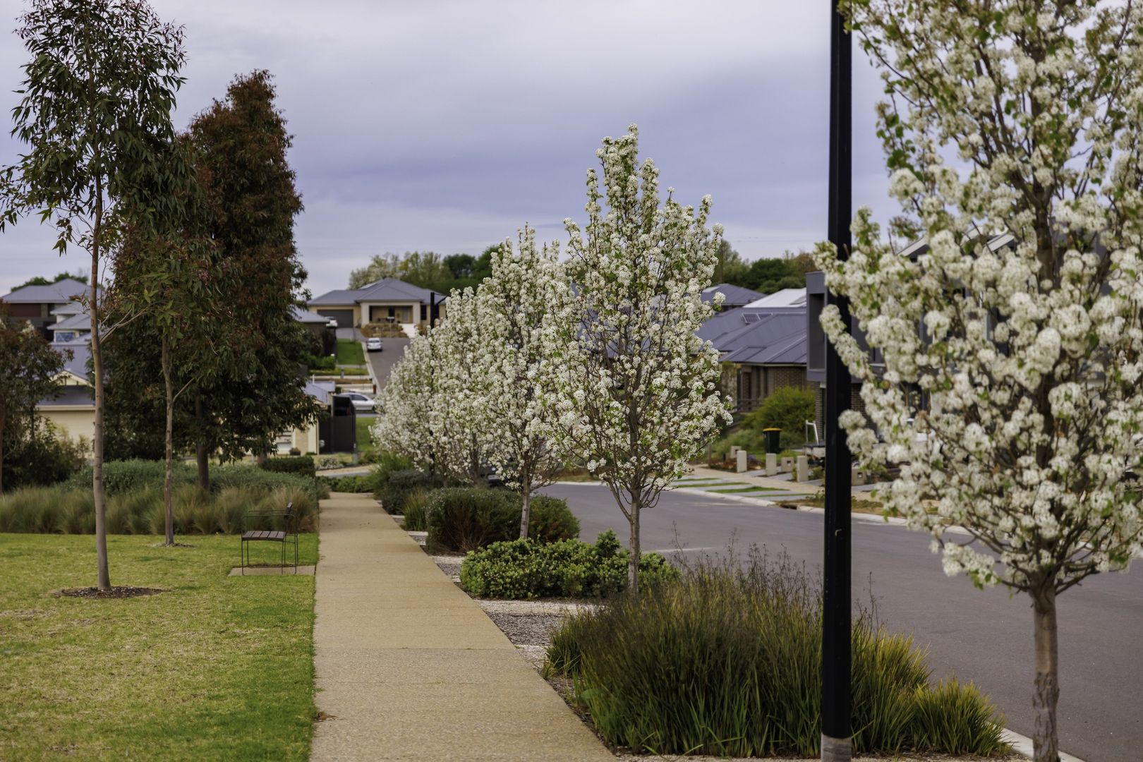 Dutton Parade, Gawler East SA 5118, Image 2