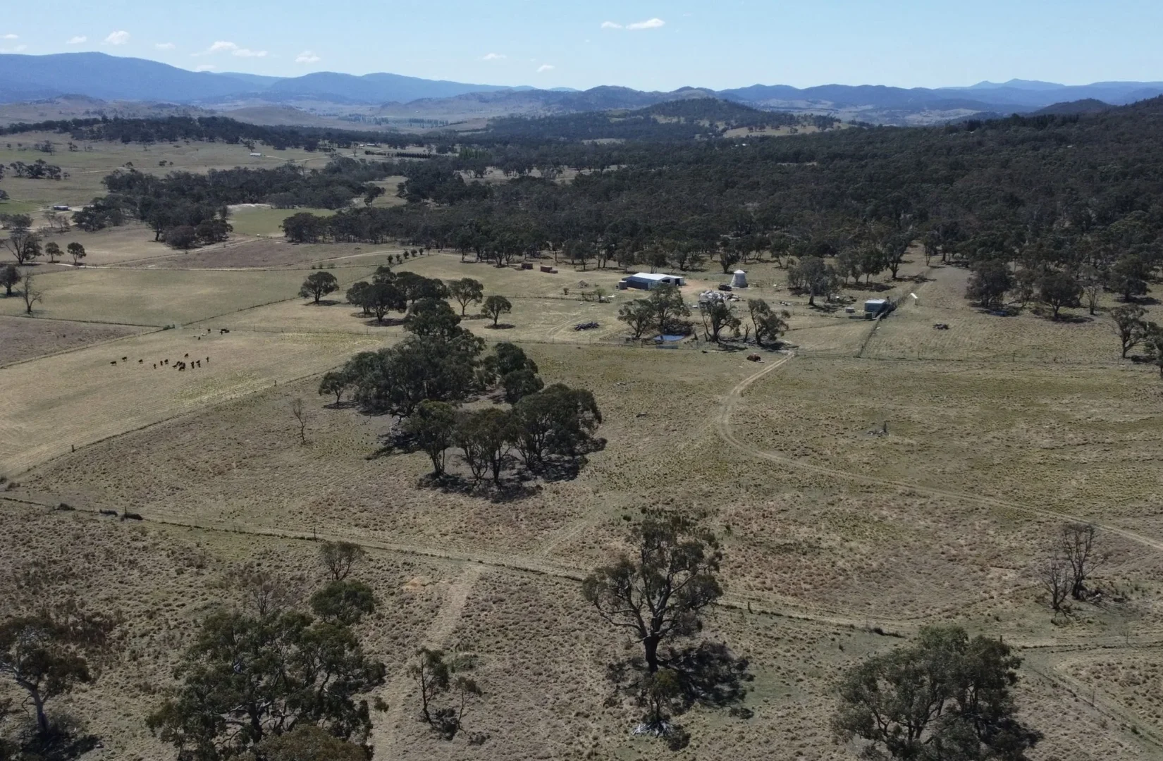 Additional image 15 of Lot 47 DP 751 Rothlyn Road Chakola NSW, Chakola NSW 2630