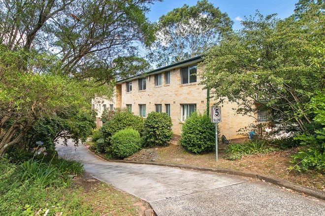 27 3 Bedroom Apartments For Rent In Turramurra Nsw 2074 Domain