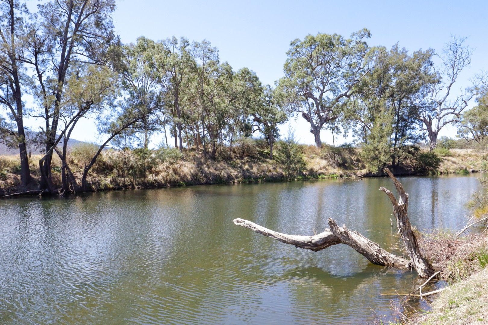 49 Sawyers Gully Road, Tenterfield NSW 2372 House for Sale Domain