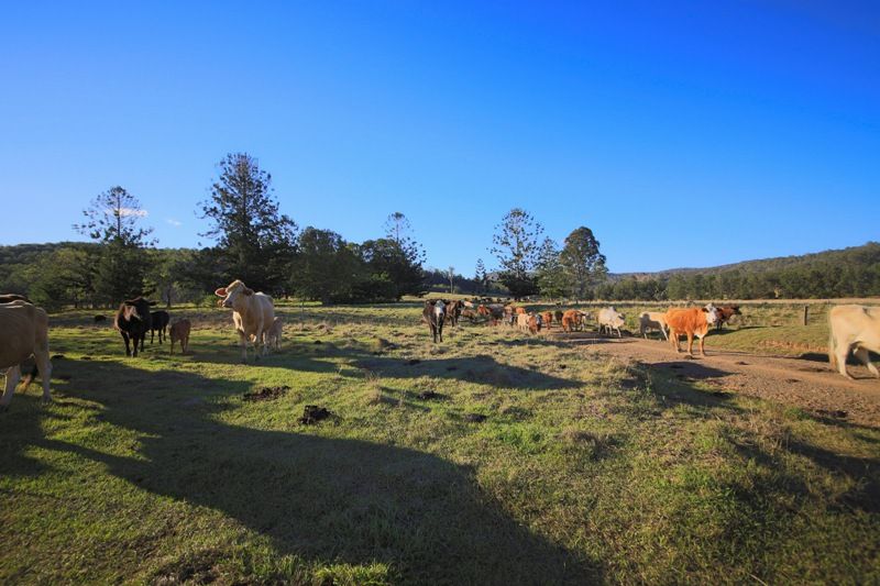 Lots 195 & 178 Smiths Creek Road, Copmanhurst NSW 2460, Image 0