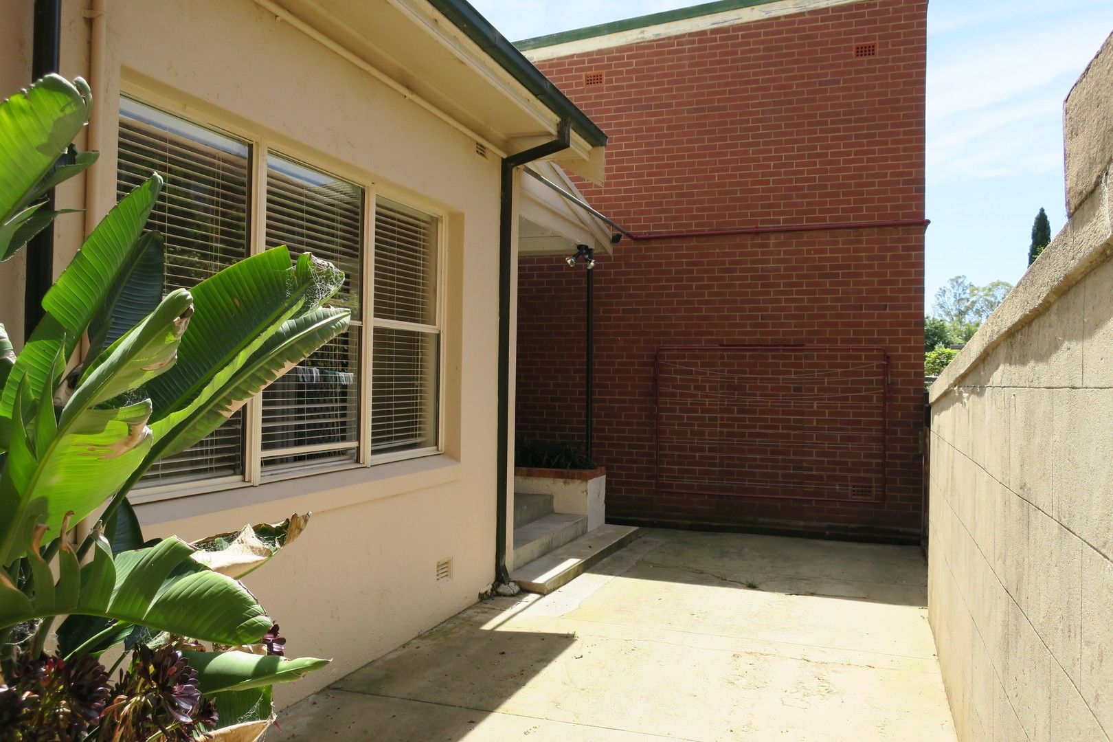 227 Tarcutta Street, Wagga Wagga NSW 2650 Apartment For Rent 350