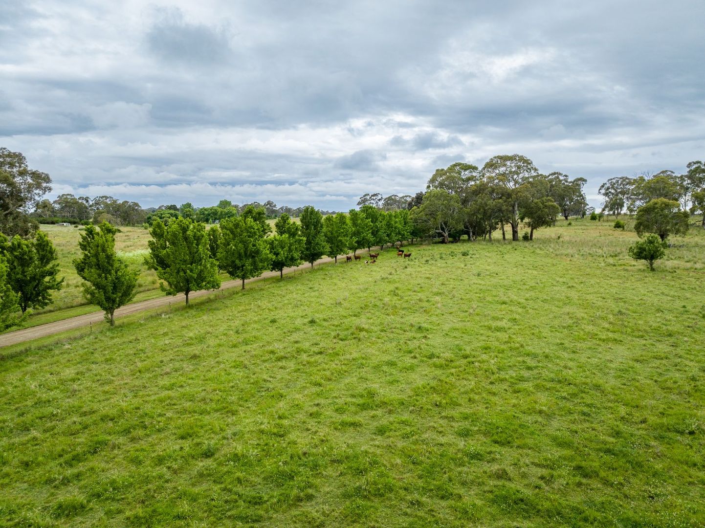 29 Kelly Lane, Spring Terrace NSW 2798, Image 2