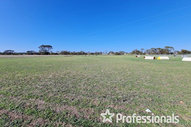 Picture of Lot 10672 Yarling Brook Road, WICKEPIN WA 6370