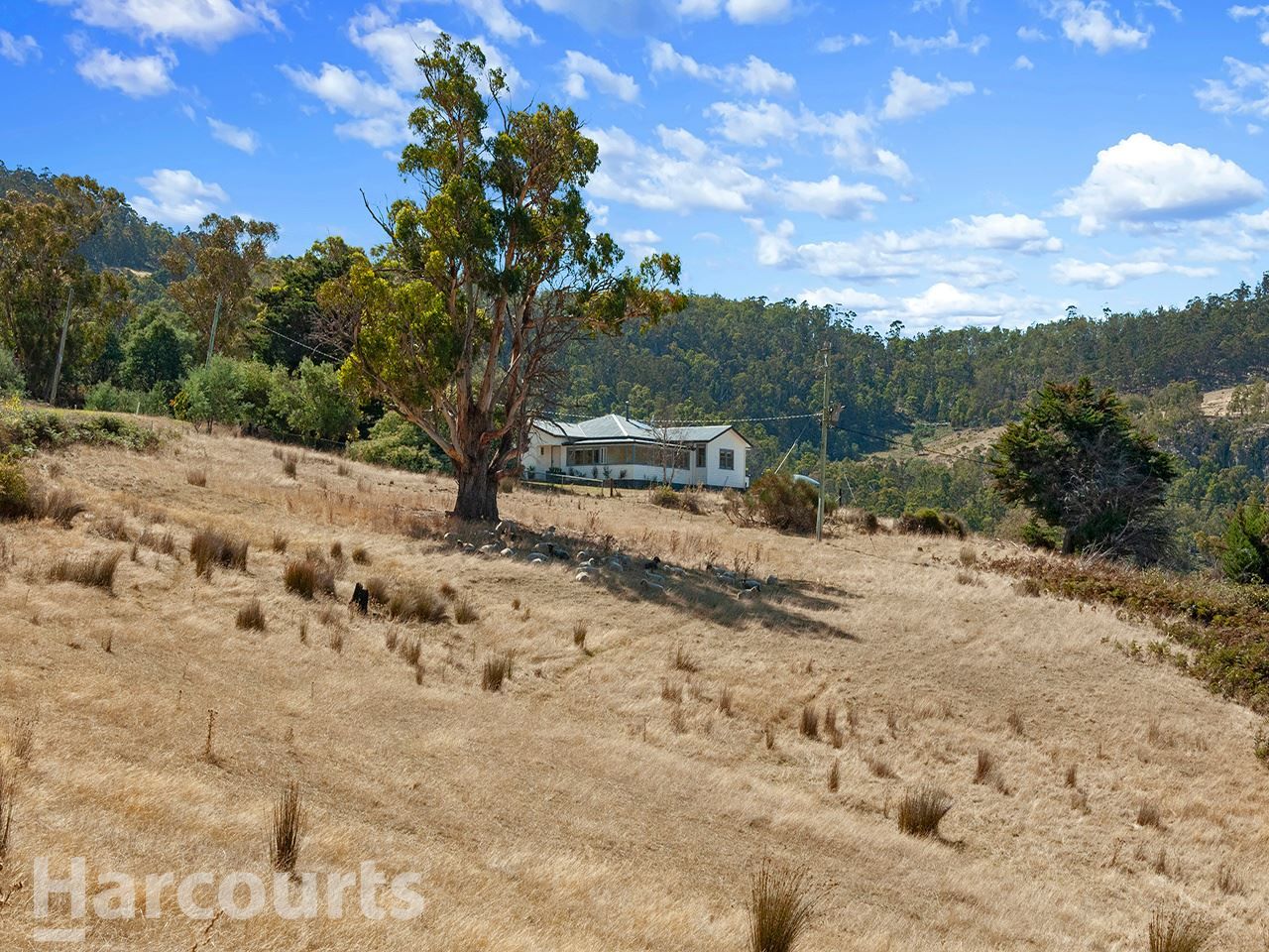 513 Eldon Road, Colebrook TAS 7027, Image 2