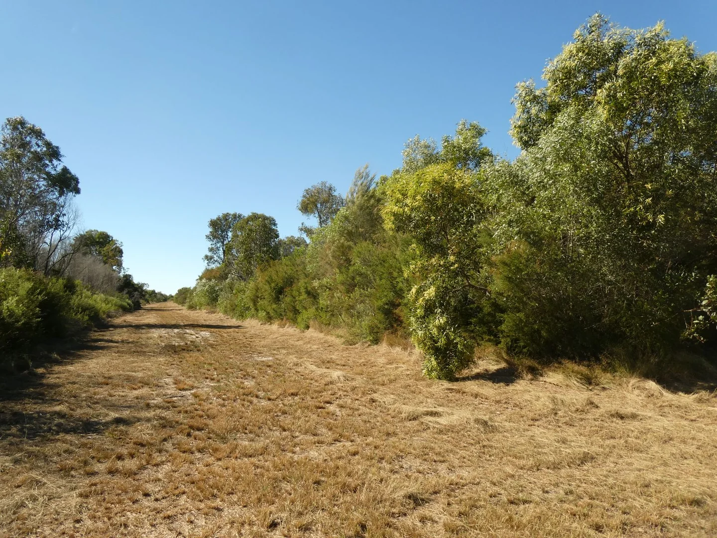 Image 12