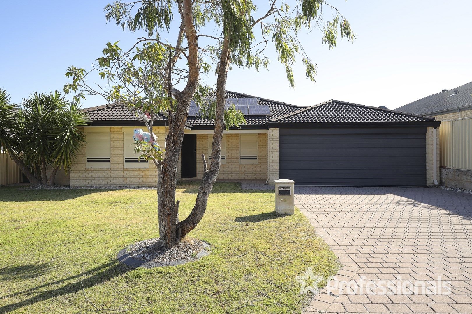 50 Tussock Elbow, Banksia Grove WA 6031, Image 0