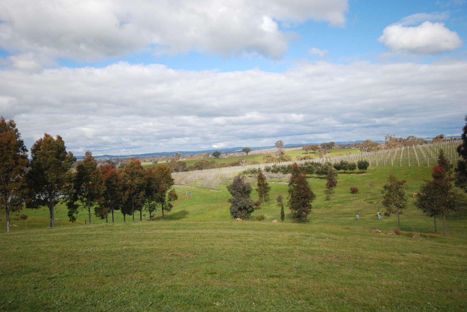 'Ruperts Ridge' 843 Metcalfe-Redesdale Road, Redesdale VIC 3444, Image 1