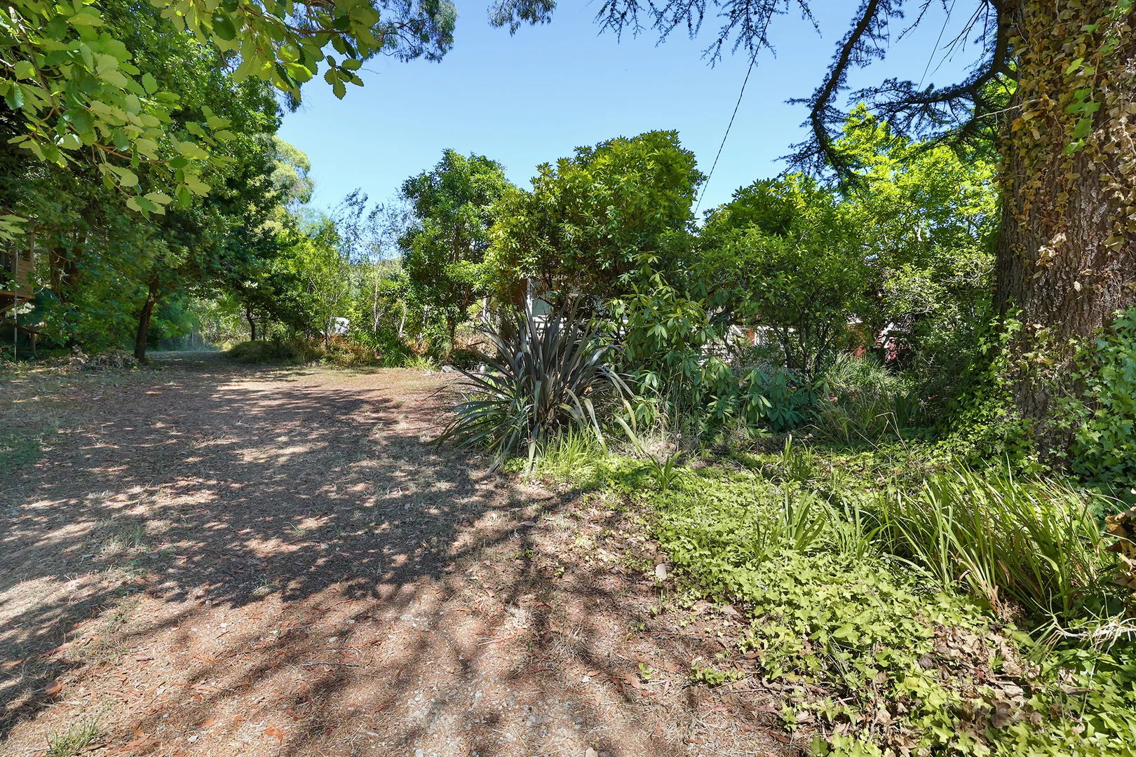 Additional image 19 of 610 Mt Baw Baw Tourist Road, Noojee VIC 3833