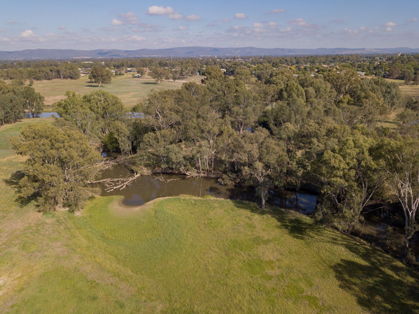 Caraselle Avenue, Wangaratta VIC 3677, Image 2