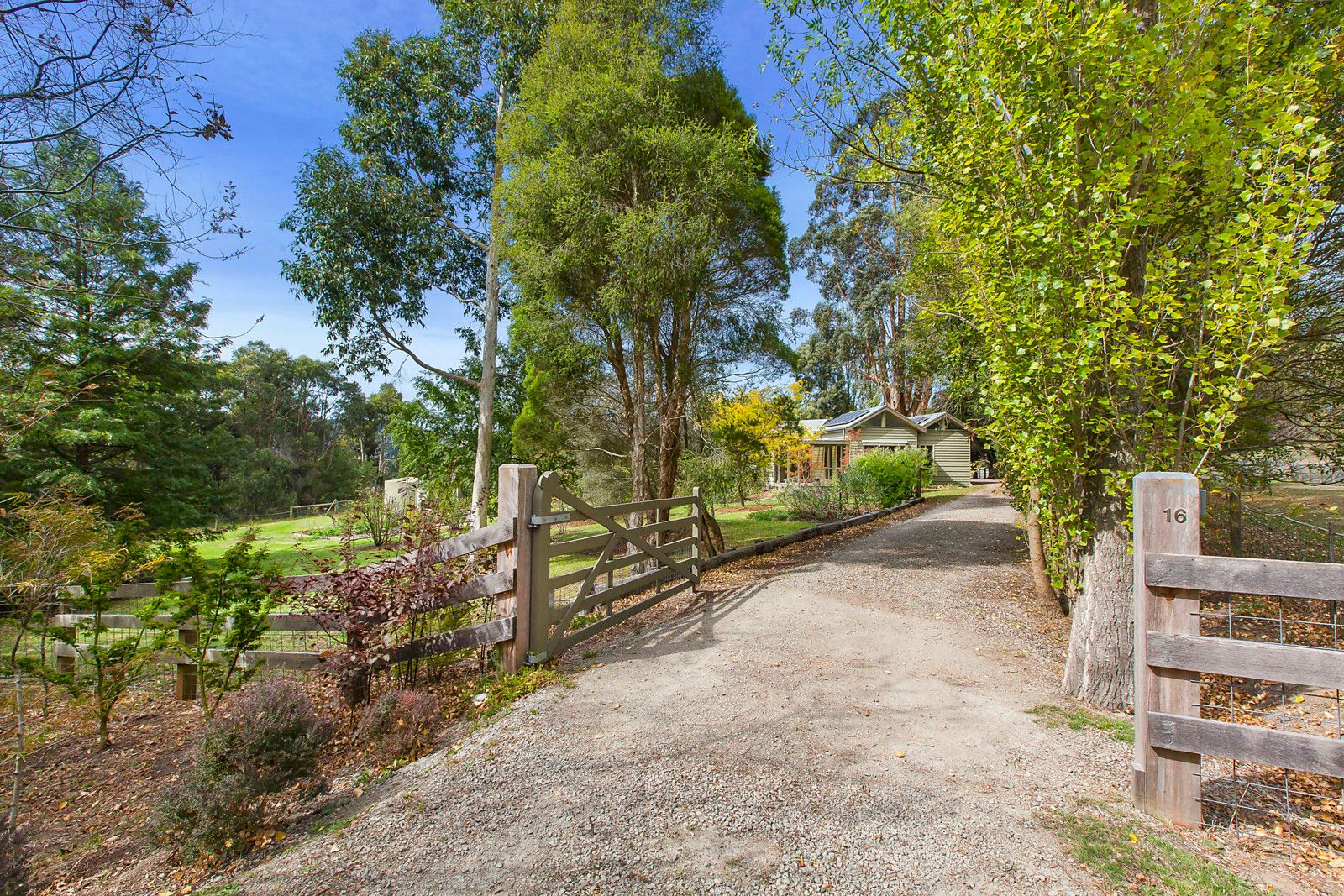 16 Macpherson Lane, Main Ridge VIC 3928, Image 0