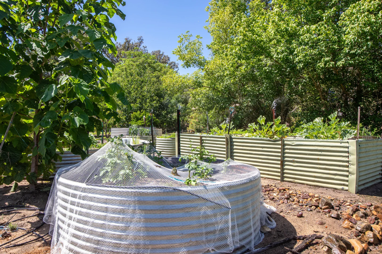 Additional image 8 of 618 New Buildings Road, Wyndham NSW 2550