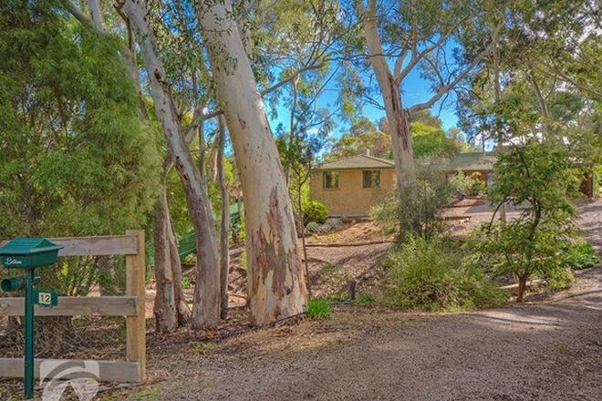 Picture of 12 Treetop Street, TEA TREE GULLY SA 5091
