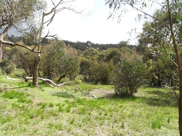 12 Bachli Court, Anglesea VIC 3230, Image 0