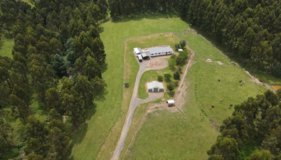 Picture of 137 O'Tooles Road, WILD DOG VALLEY VIC 3953