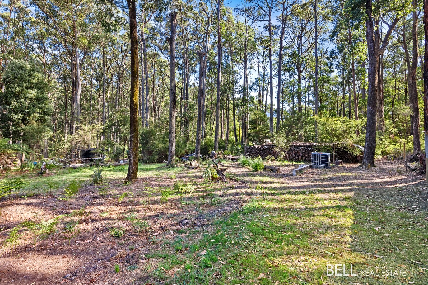 25 Lyrebird Avenue, East Warburton VIC 3799, Image 1