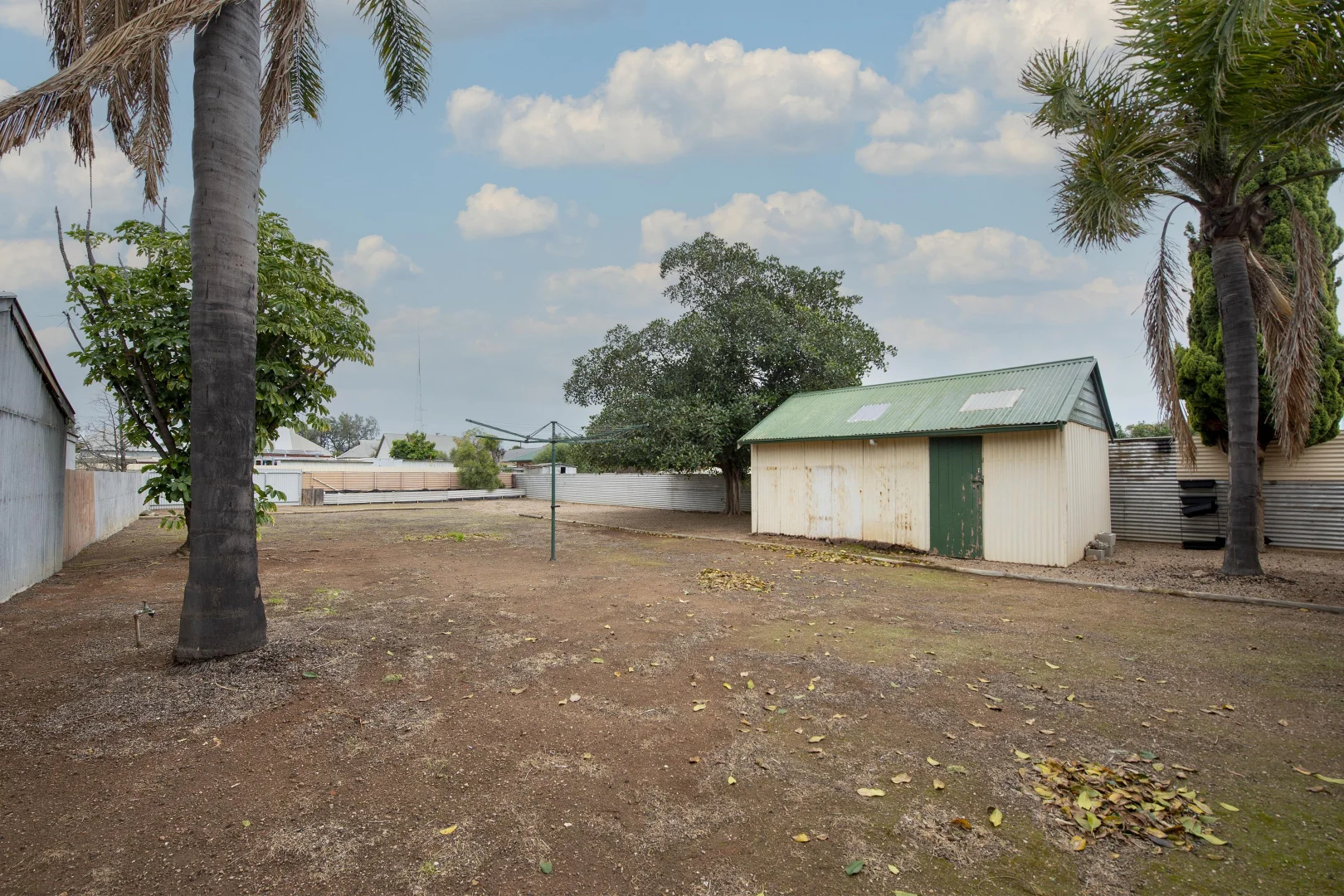 Image 25