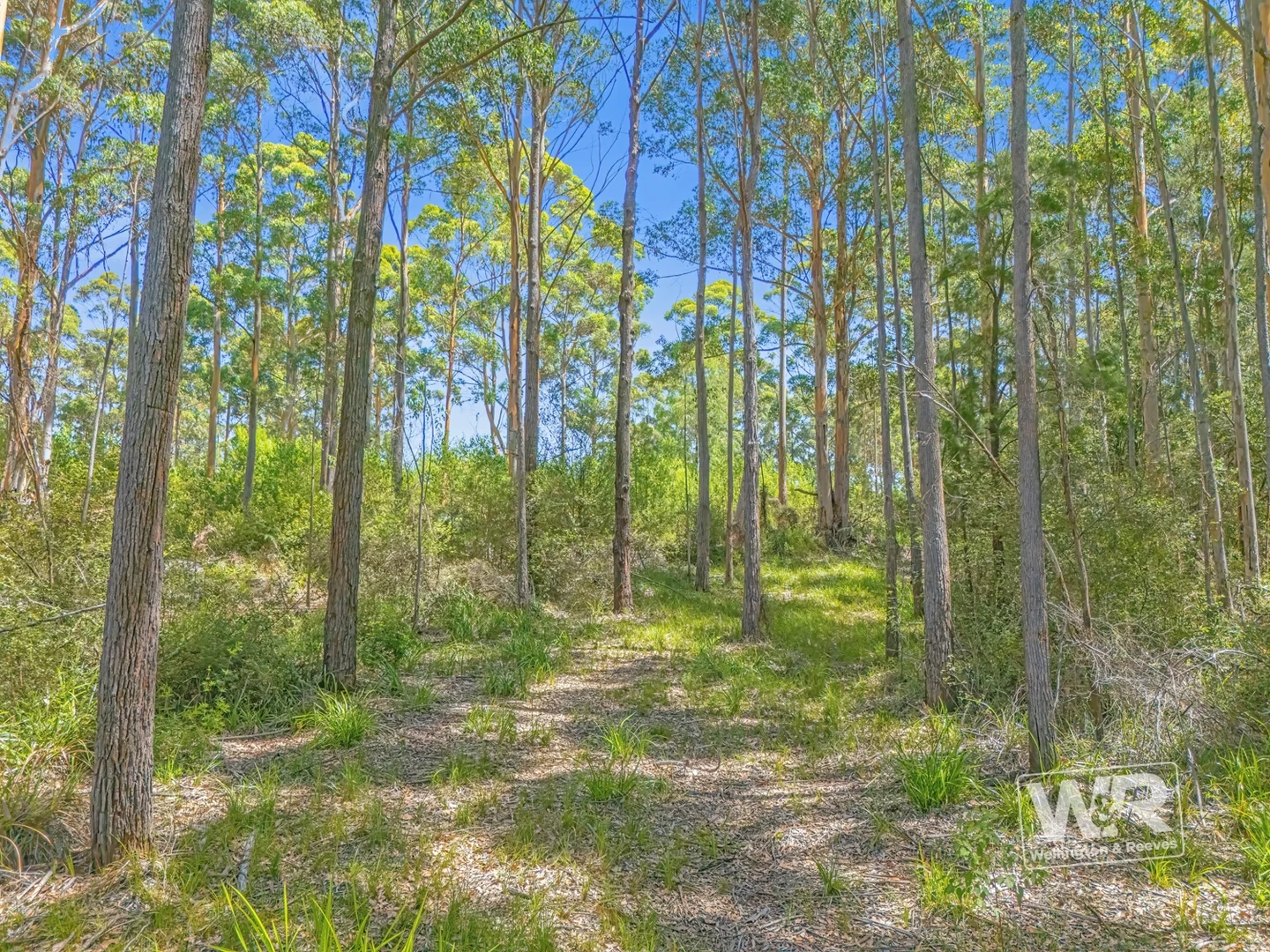 Additional image 3 of Shadforth WA 6333