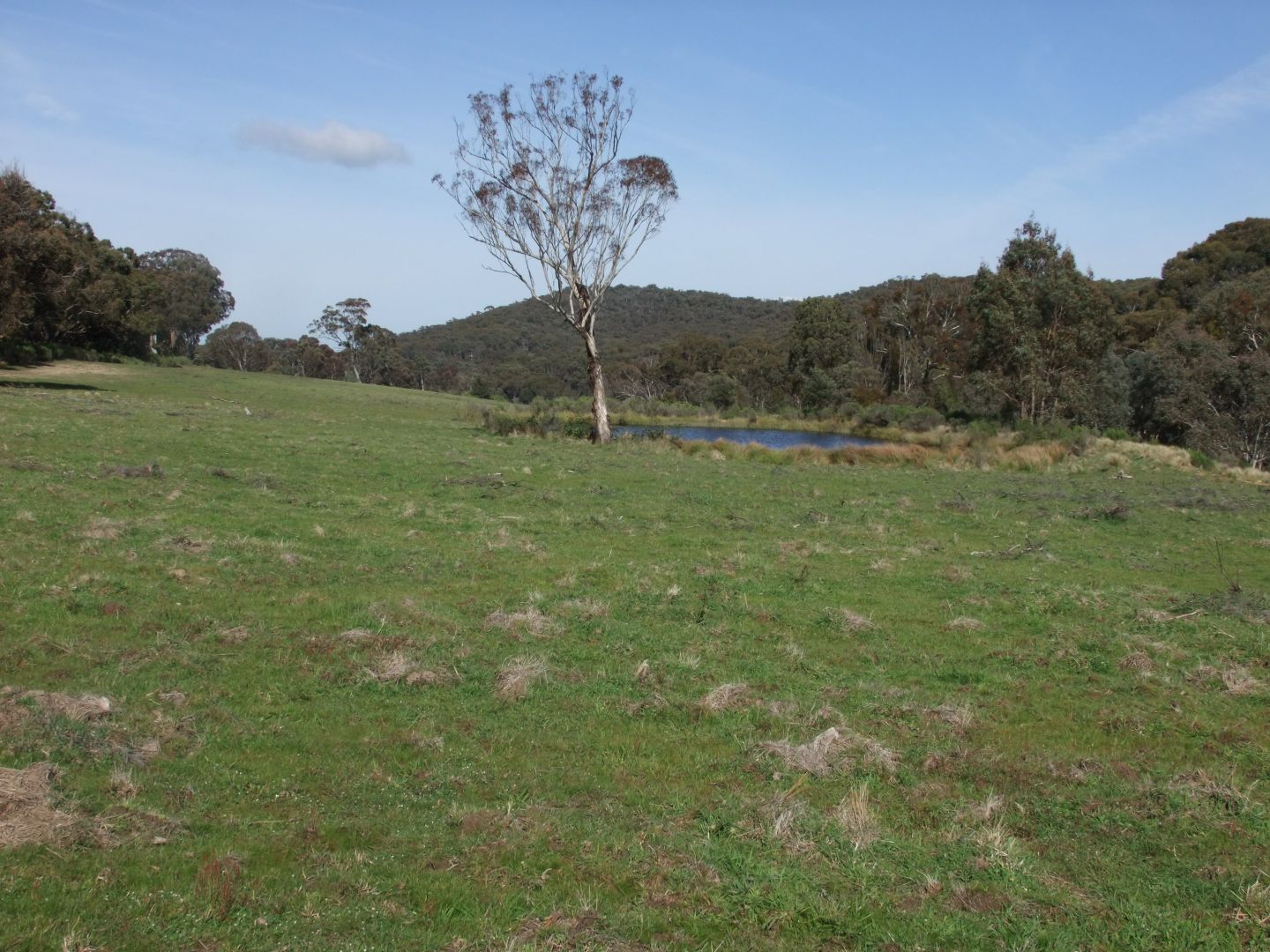 Part 692 Bald Ridge Road, Bald Ridge NSW 2795, Image 2