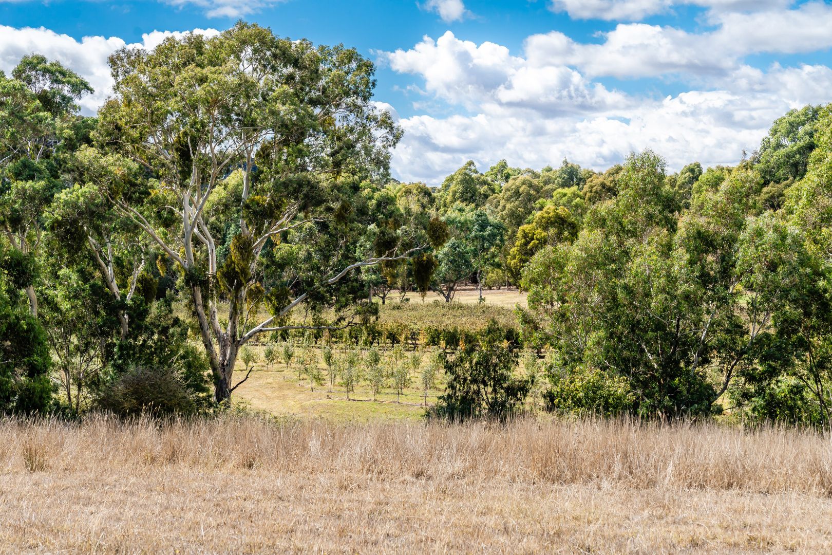 80/6 River Road, Hahndorf SA 5245, Image 1