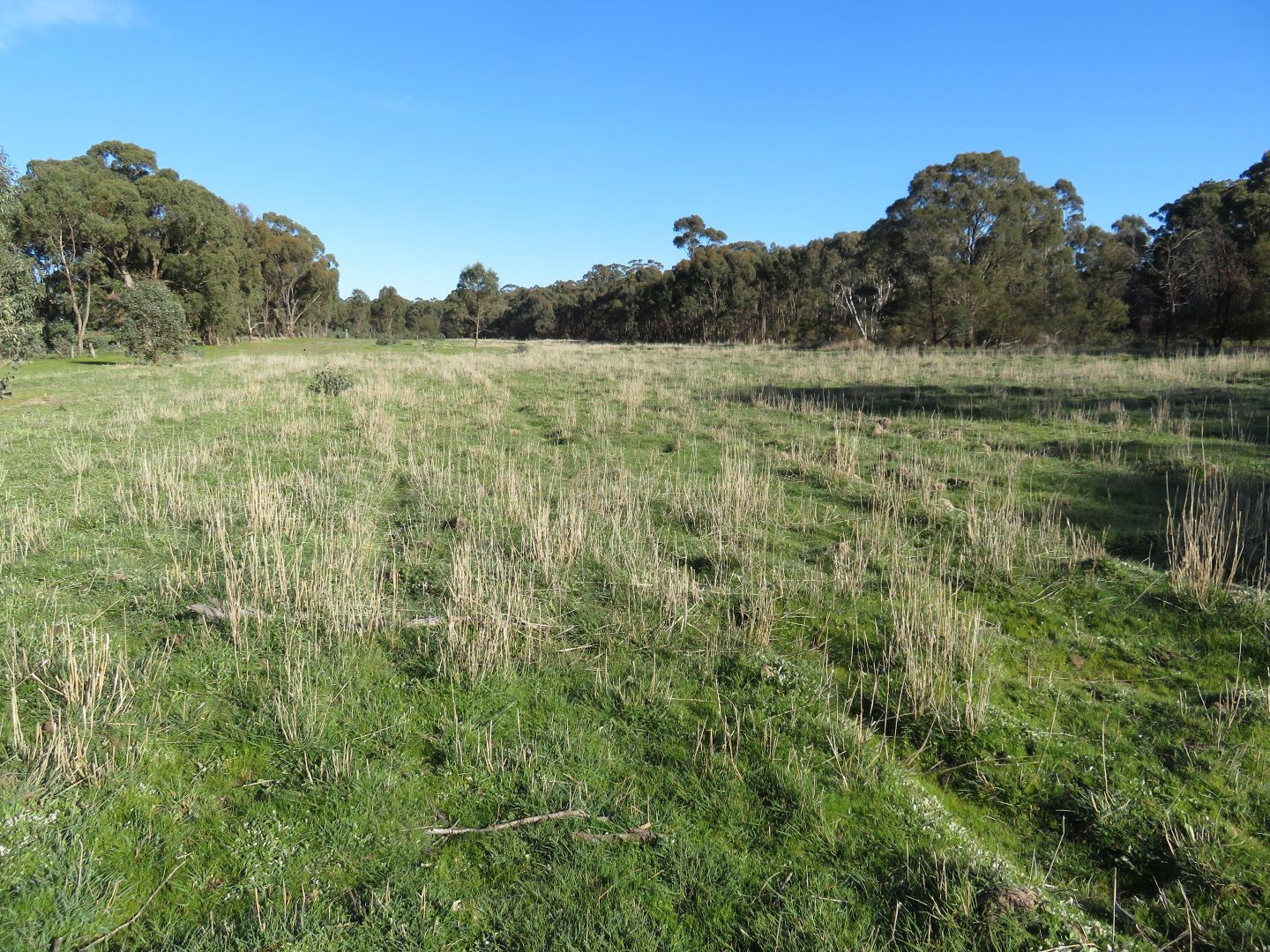 Lot 57 O'Halloran Drive, Mandurang South VIC 3551, Image 2