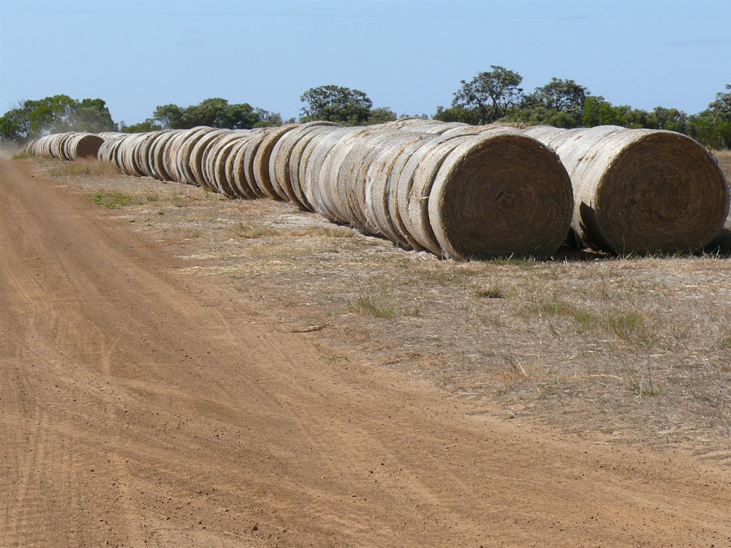 Neridup WA 6450, Image 2