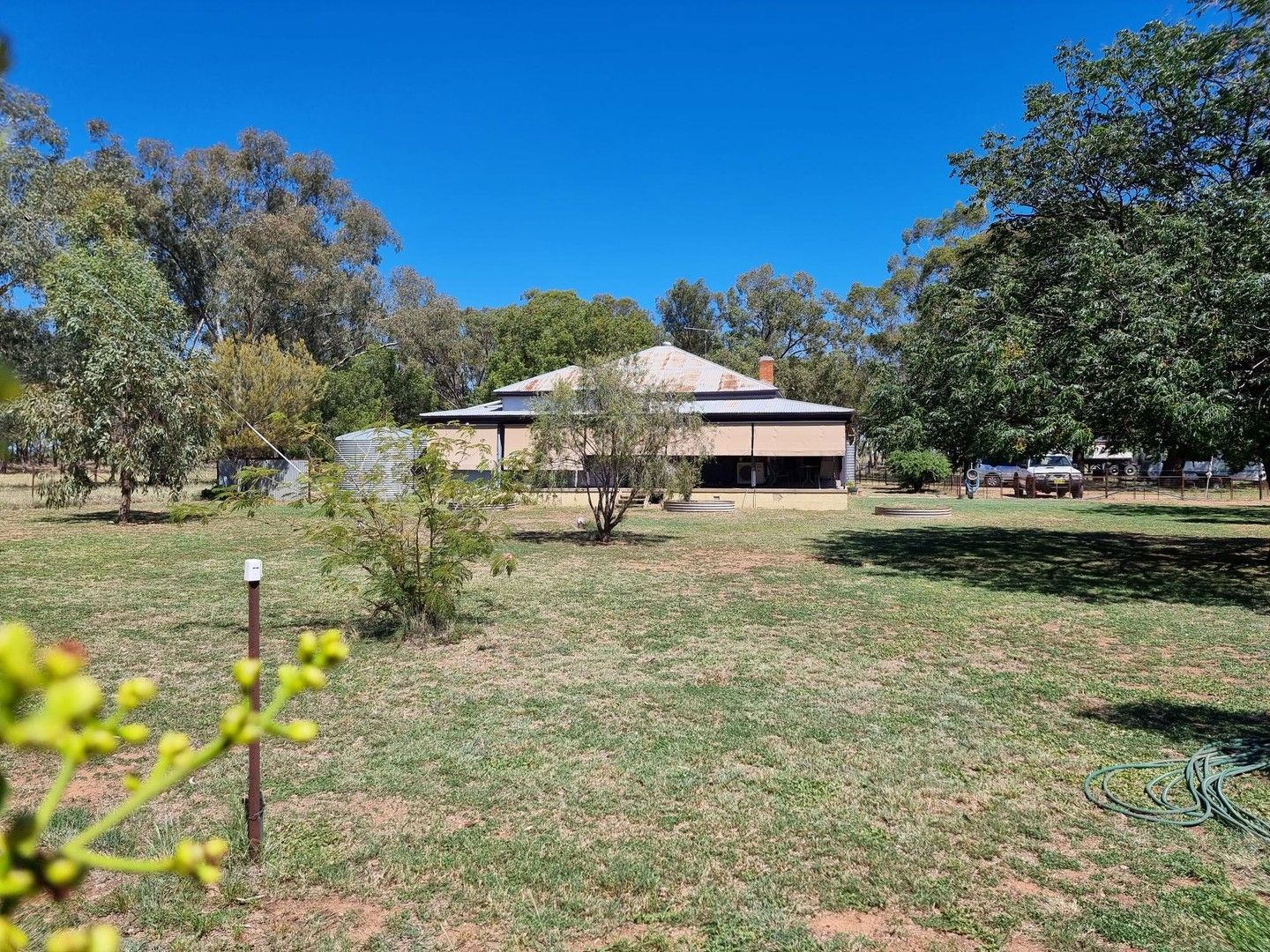 365 Whitton Park Road, Peak Hill NSW 2869, Image 0