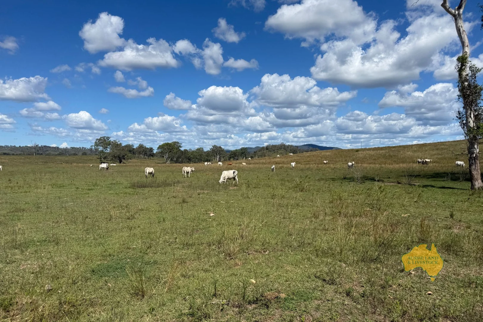 Additional image 8 of 527 KILLERS ROAD, New Moonta QLD 4671