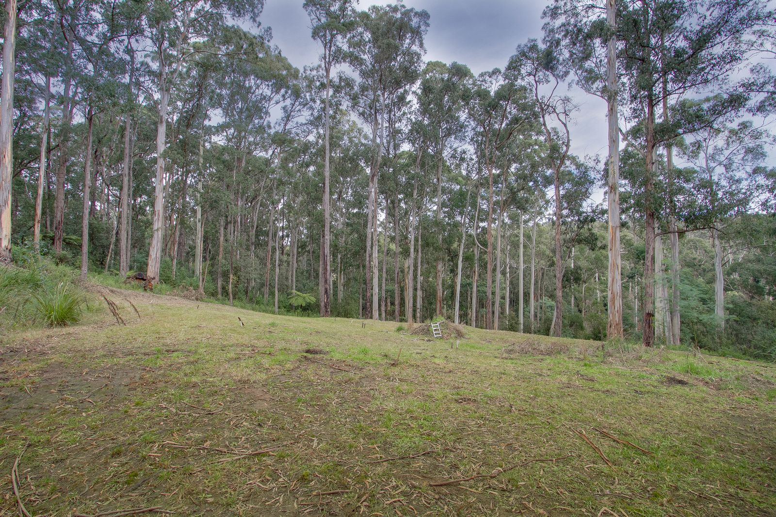 2 Kilbaha Road, Cockatoo VIC 3781, Image 2